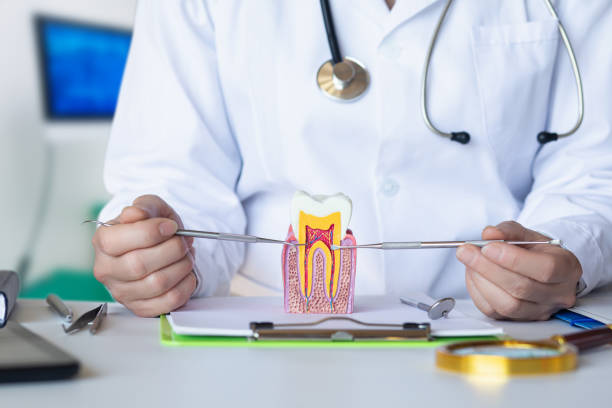 Best Emergency Dental Extractions in De Soto, IA